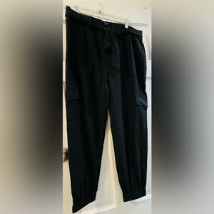 Banana Republic Airstretch Jogger